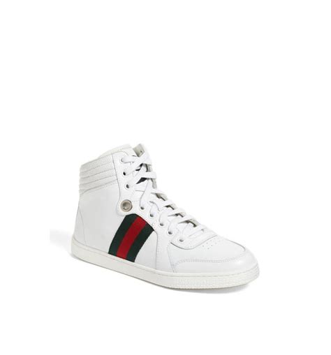 sneaker gucci coda